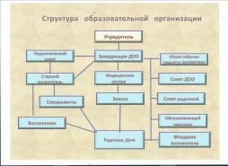 Структура органов управления МБДОО № 14 "Теремок" ст. Дондуковской